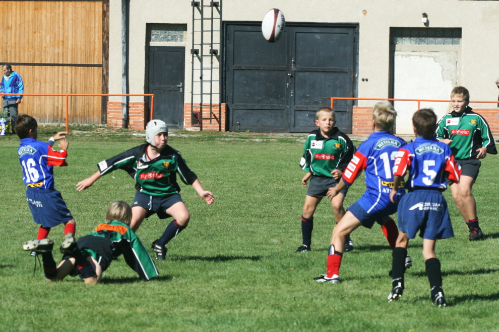 IMG_0342.jpg